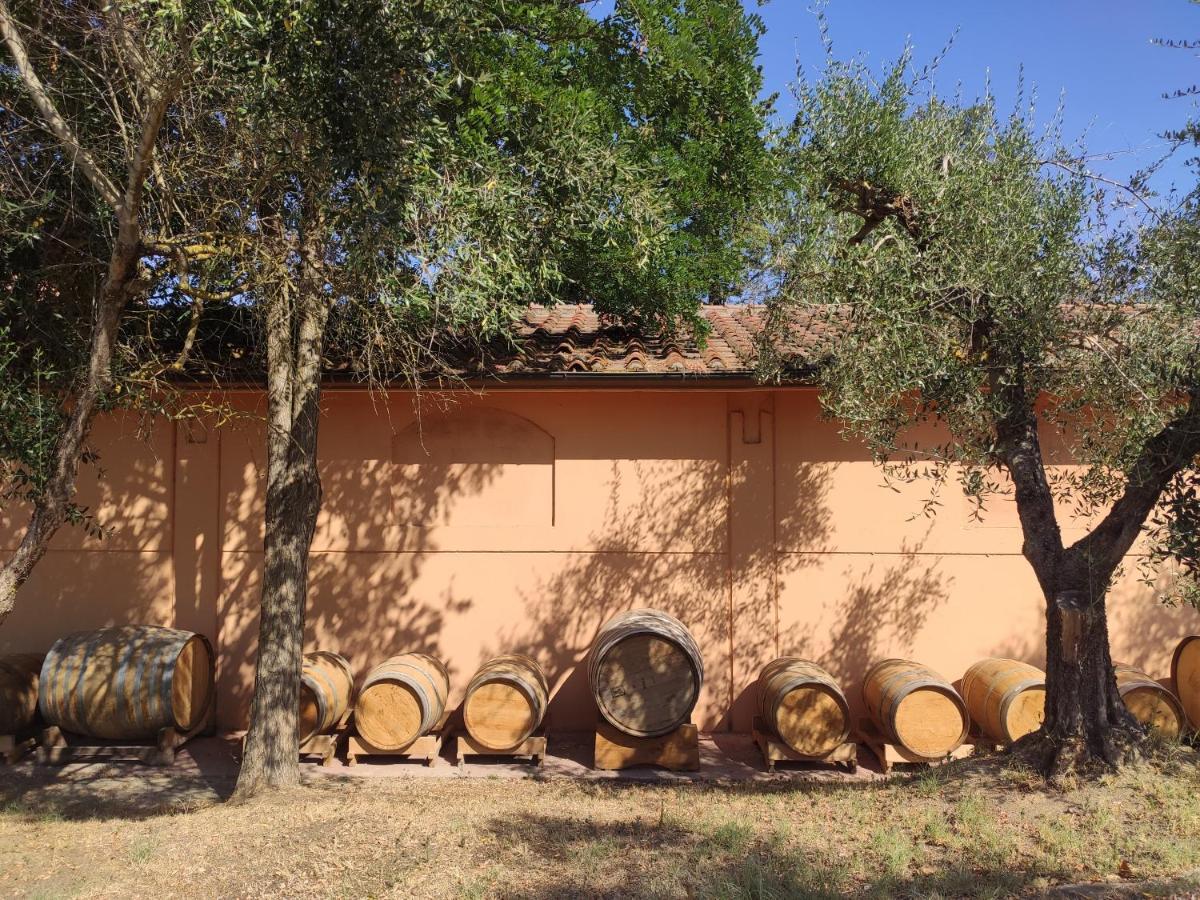 Podere Borgaruccio Peccioli Exterior photo