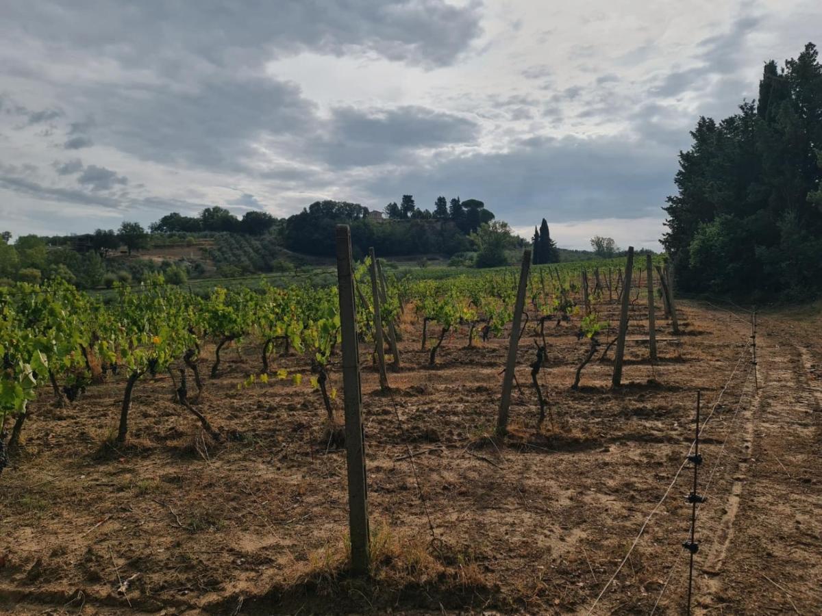 Podere Borgaruccio Peccioli Exterior photo