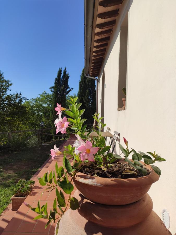 Podere Borgaruccio Peccioli Exterior photo