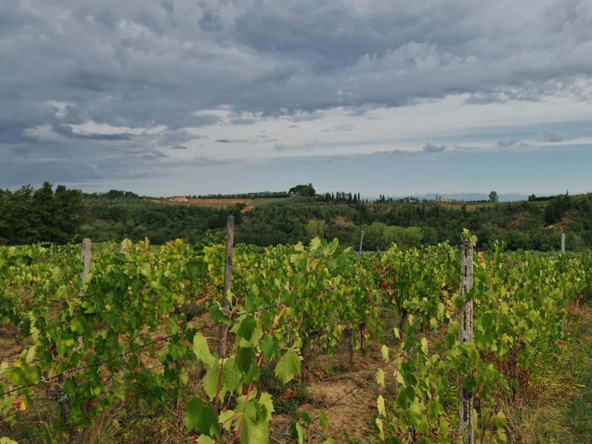 Podere Borgaruccio Peccioli Exterior photo
