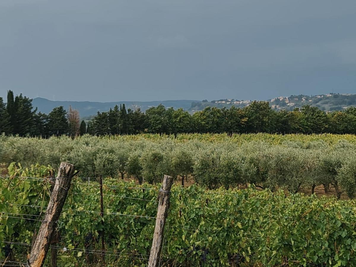 Podere Borgaruccio Peccioli Exterior photo